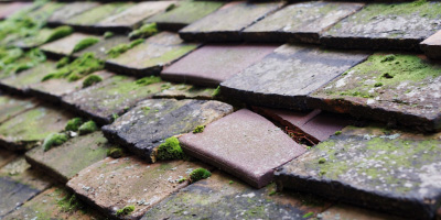 Blackhorse Drove roof repair costs